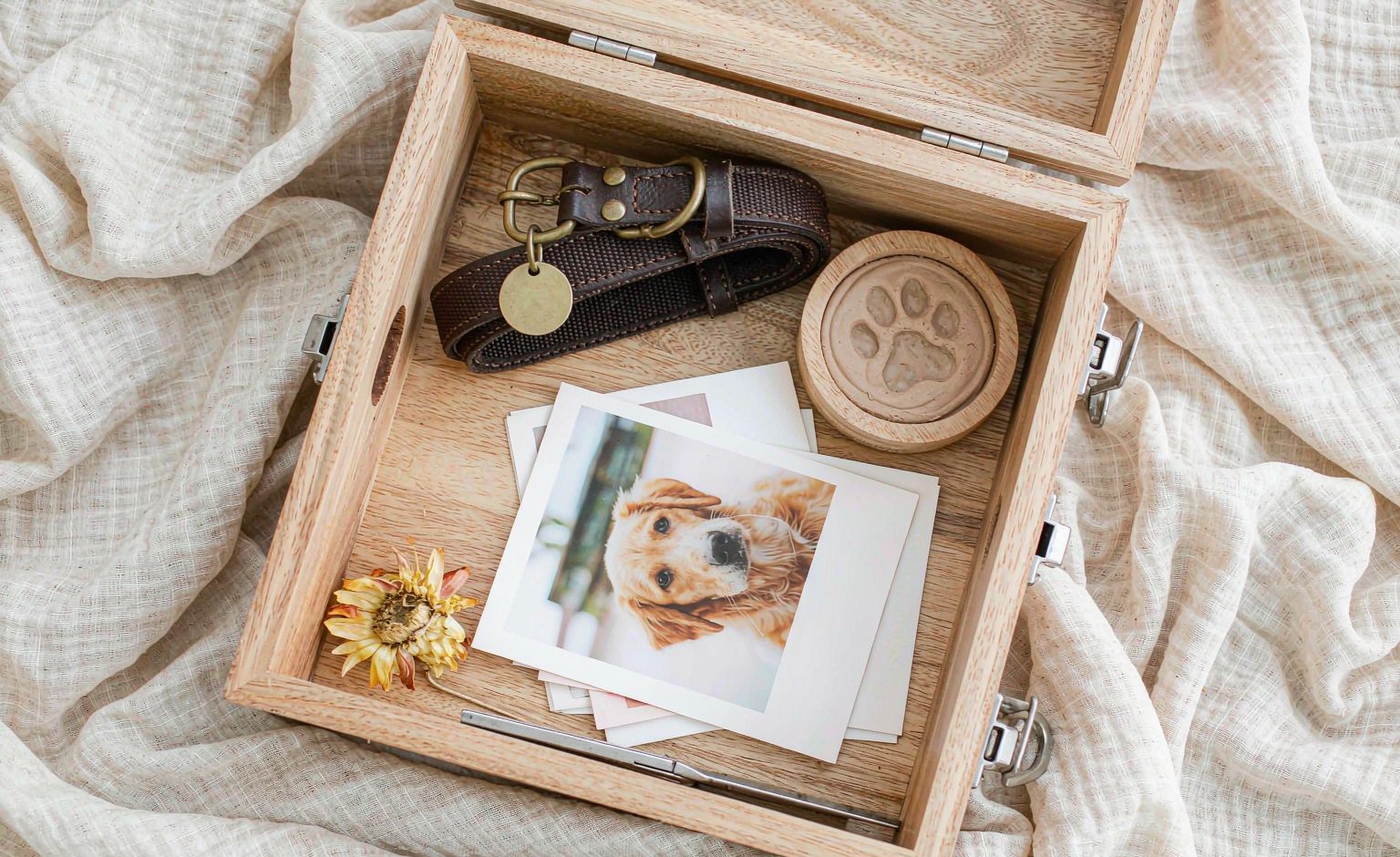 An open wooden memory box holding a dog collar with a brass tag, a clay paw-print impression, printed photos and a dried flower
