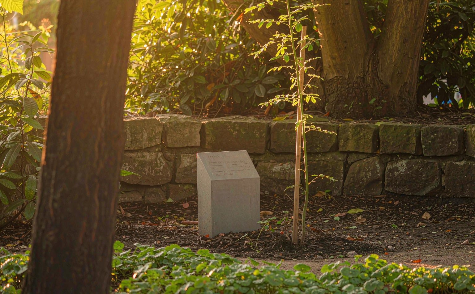 A peaceful garden memorial corner with a small stone, flowers, and soft greenery honoring a pet