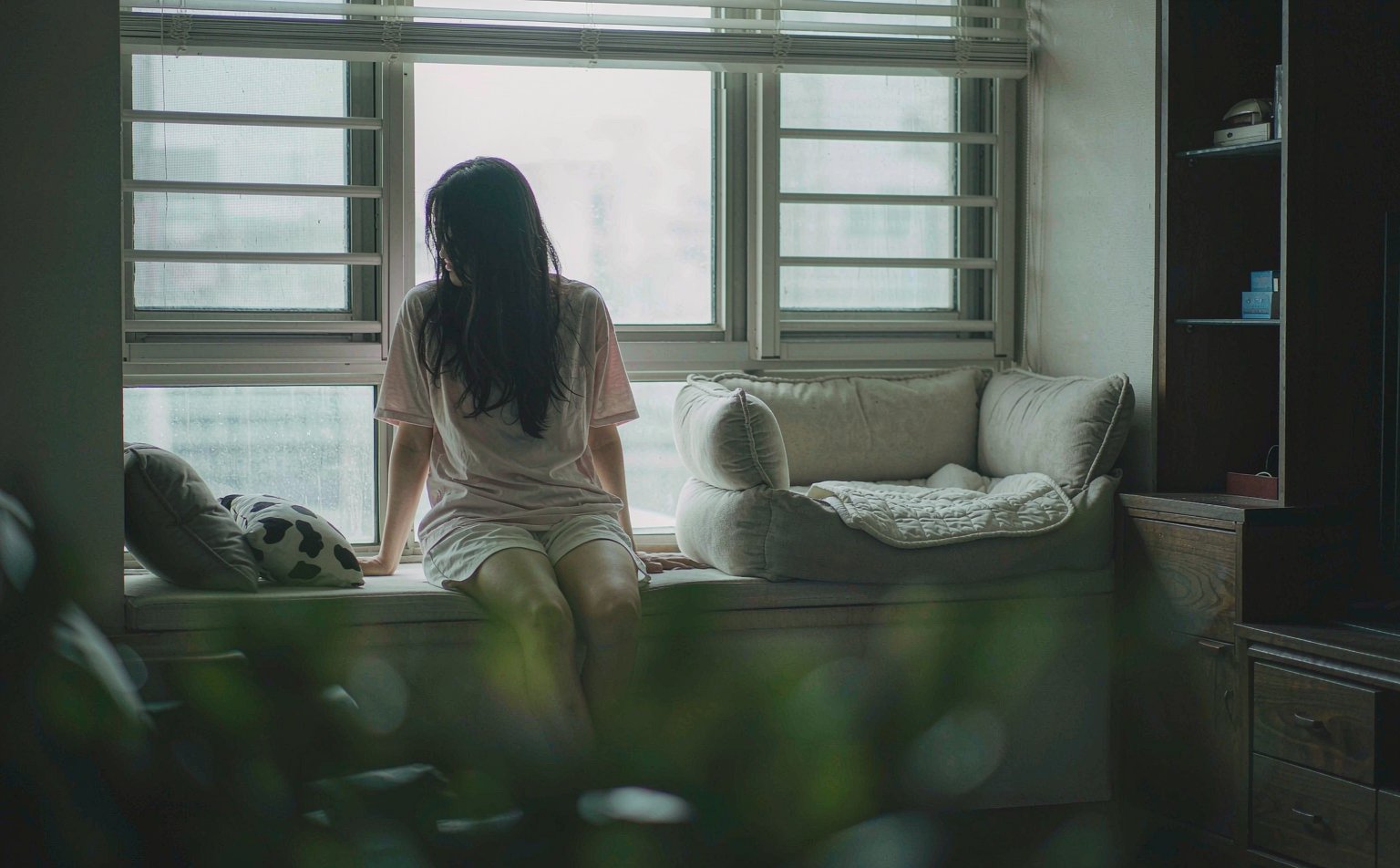 A quiet window seat with soft morning light where a person sits thinking of a beloved pet