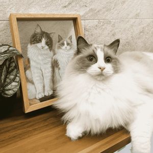 Custom Pet Glass Painting — Wood Frame