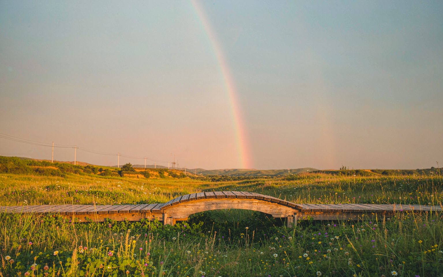 A small wooden footbridge crossing a wildflower meadow in golden evening light with a faint rainbow in the sky